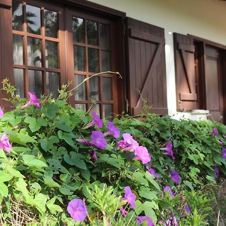 A Quinta Duna Salir de Porto 外观 照片