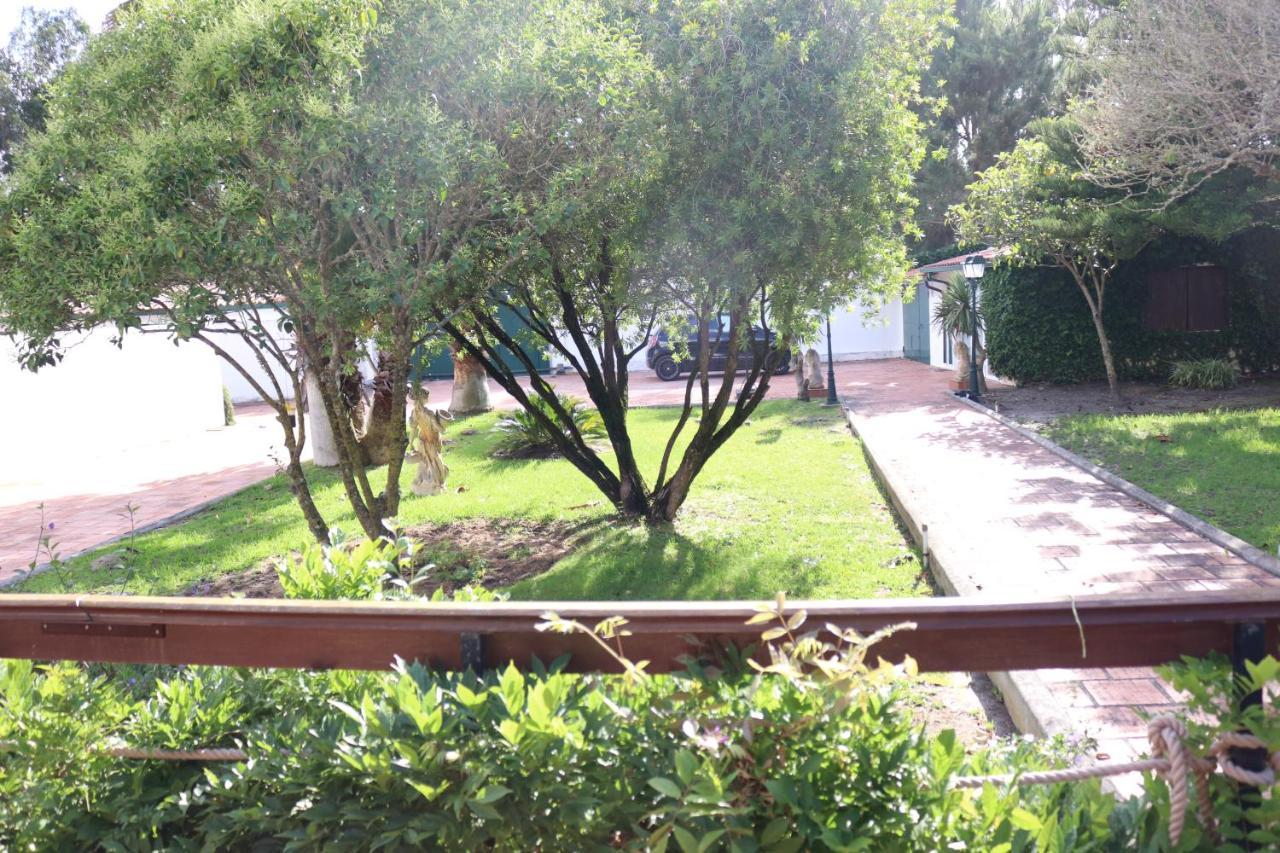 A Quinta Duna Salir de Porto 外观 照片