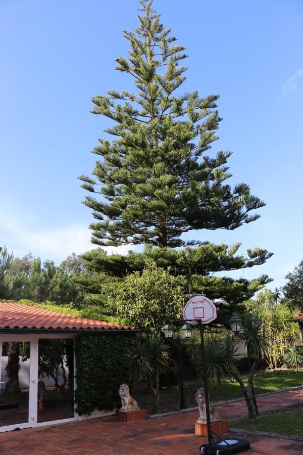 A Quinta Duna Salir de Porto 外观 照片